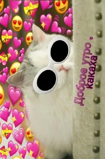 😎