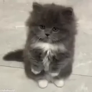🙏