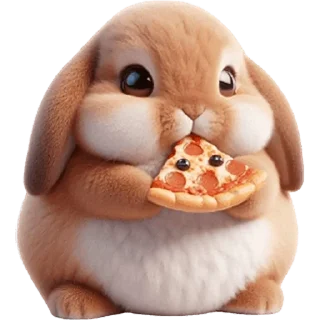 🍕