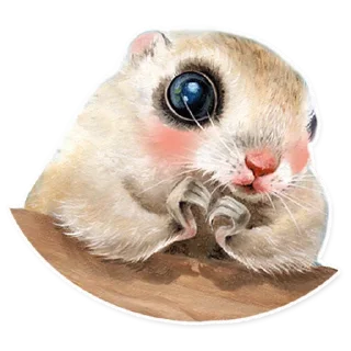 🐿
