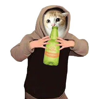 🍻