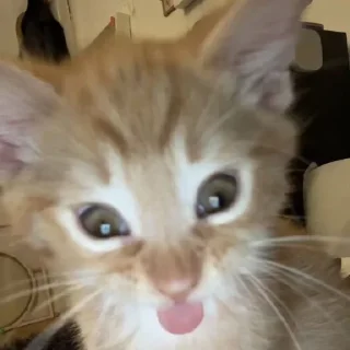 😛