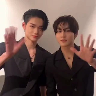 🐈