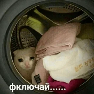 😭