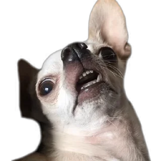 🤤