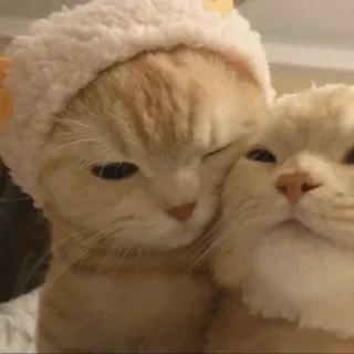 👩‍❤️‍👨
