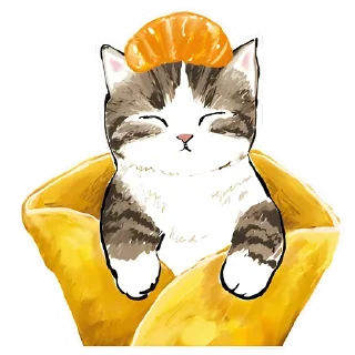 🍊