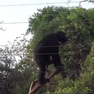🤪