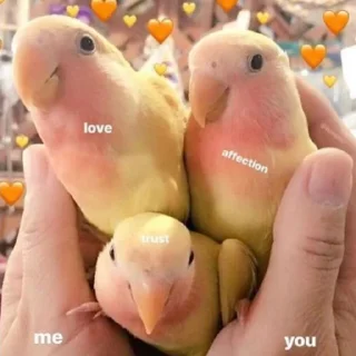 ❤️
