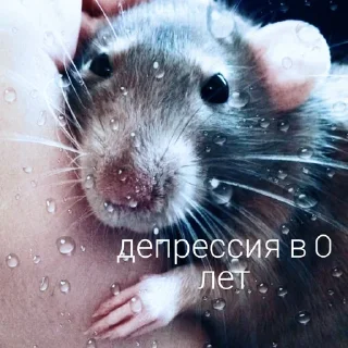 😓
