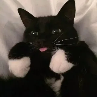 😛