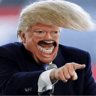 Trump Faces