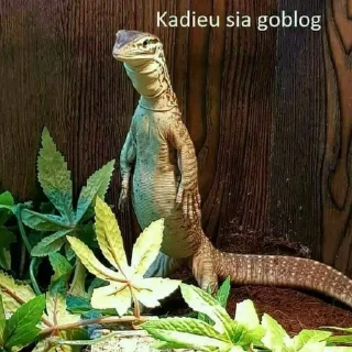 🤩