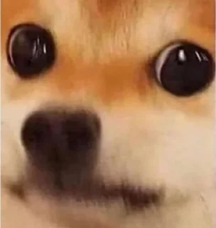 🥺
