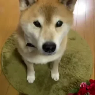 😔