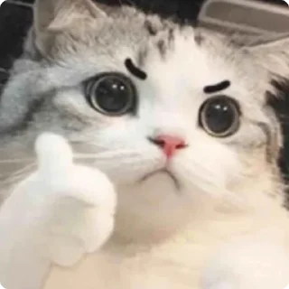 👍