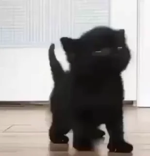 😳