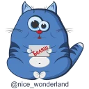 🐱