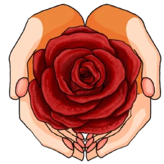 🌹