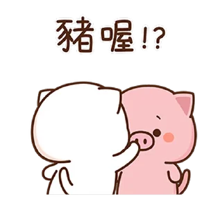 🐽