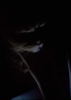 👻
