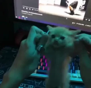 🥳