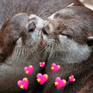 ❤️