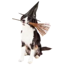 ☺