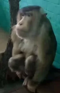 🤨