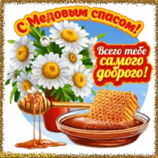 🍯