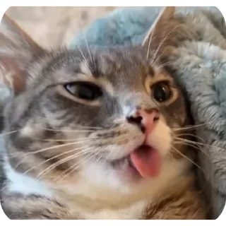 🤩