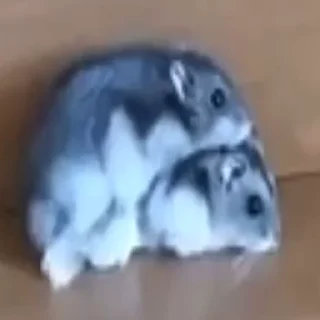 😅