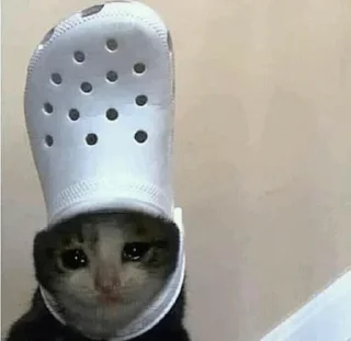 🥺