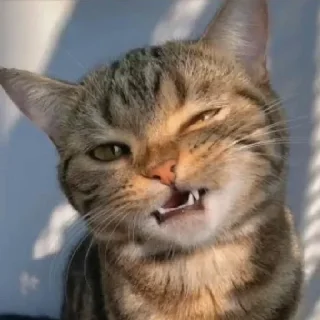 😏