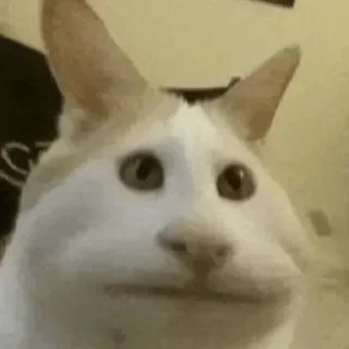 😺