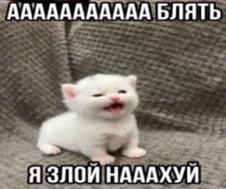 🤬