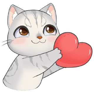 ❤️