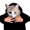 Meme bro by Ai