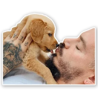 🐶