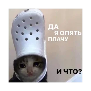 😺
