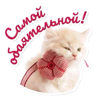🌸