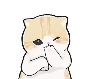 🐱