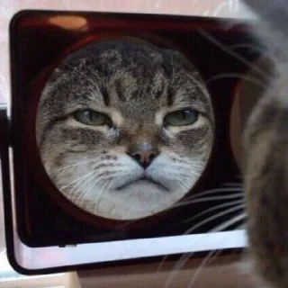 🤨