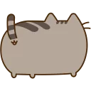 🐱