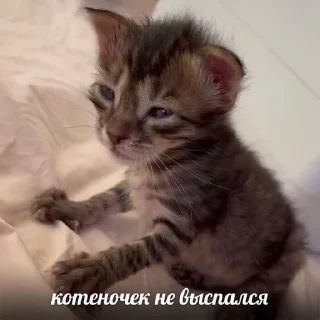 😴