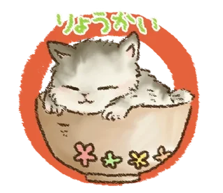 🐱