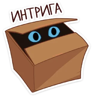 👀
