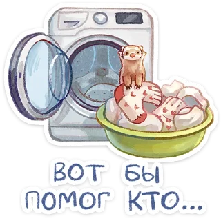 ⭐
