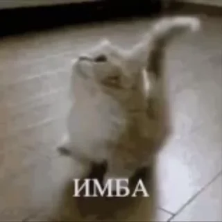 👍