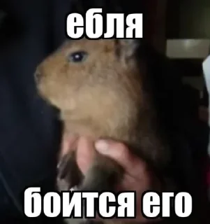 😎